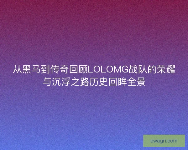 从黑马到传奇回顾LOLOMG战队的荣耀与沉浮之路历史回眸全景