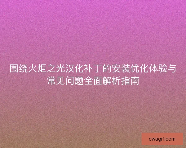 围绕火炬之光汉化补丁的安装优化体验与常见问题全面解析指南