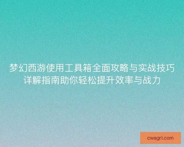 梦幻西游使用工具箱全面攻略与实战技巧详解指南助你轻松提升效率与战力